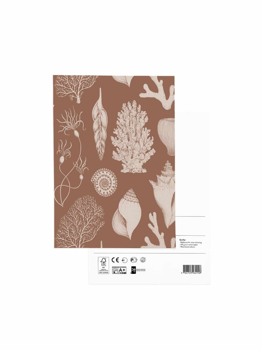 Wallpaper Ferm Living | Wallpaper Sample - Katie Scott Shells Toffee